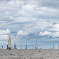 Tallinn- TallShip race