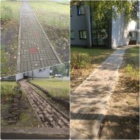 Pärnu, Papiniidu