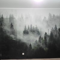 Fototapeedid